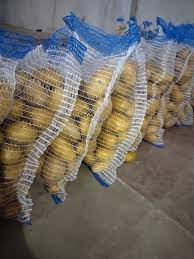 Patatas frescas de Polonia, whatsapp +48717353048 Patata de calidad